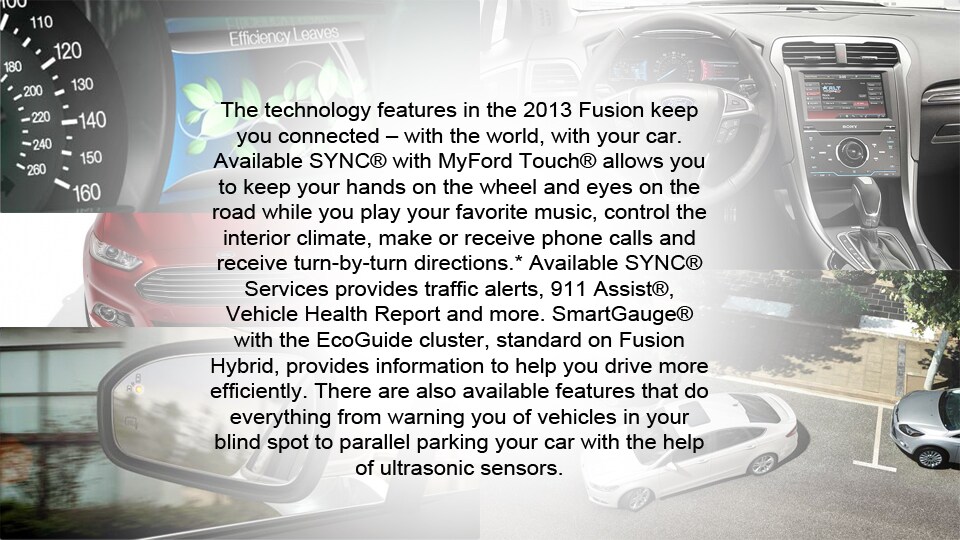 2013 Fusion Matrix.jpg