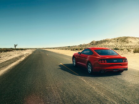 17_MUST.GT.shot_01.jpg