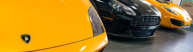 Sell-Exotics_0293_v2.jpg