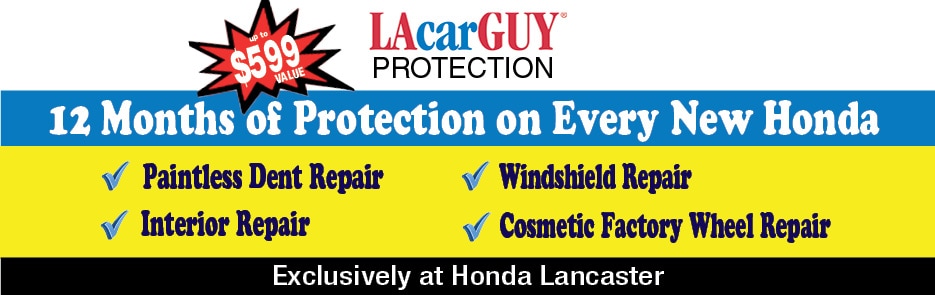 Hon LAcarGuy Protection Small Banner.jpg