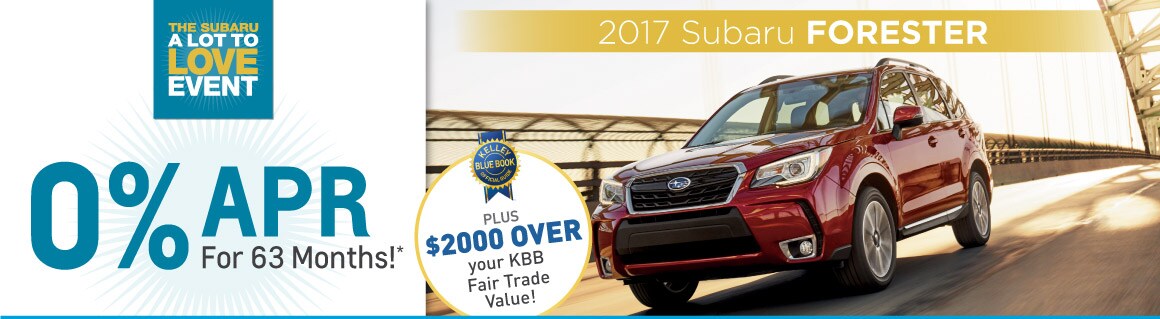 2017-08_header-forester.jpg