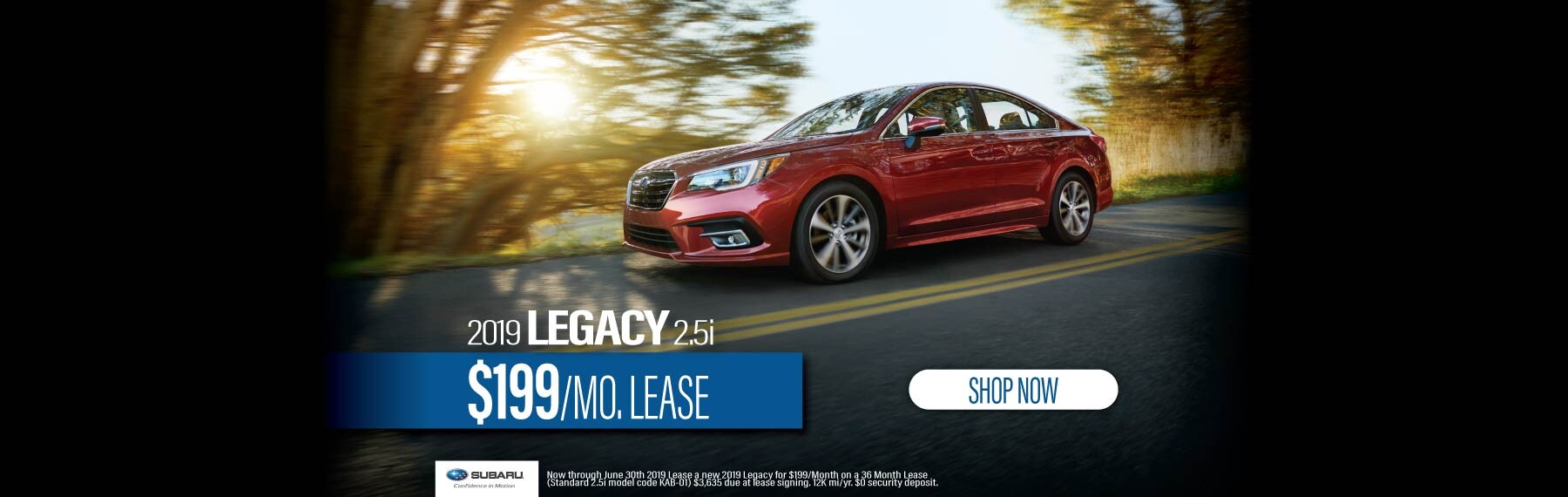 LMSUB-06196-WebslideLegacy199-01-01.jpg