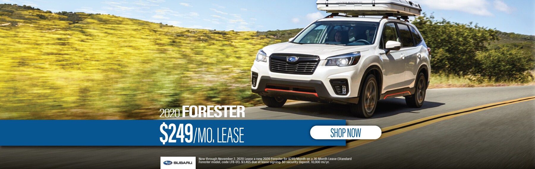 LMSUB-10201 - Web Slides_2020 Forester.jpg