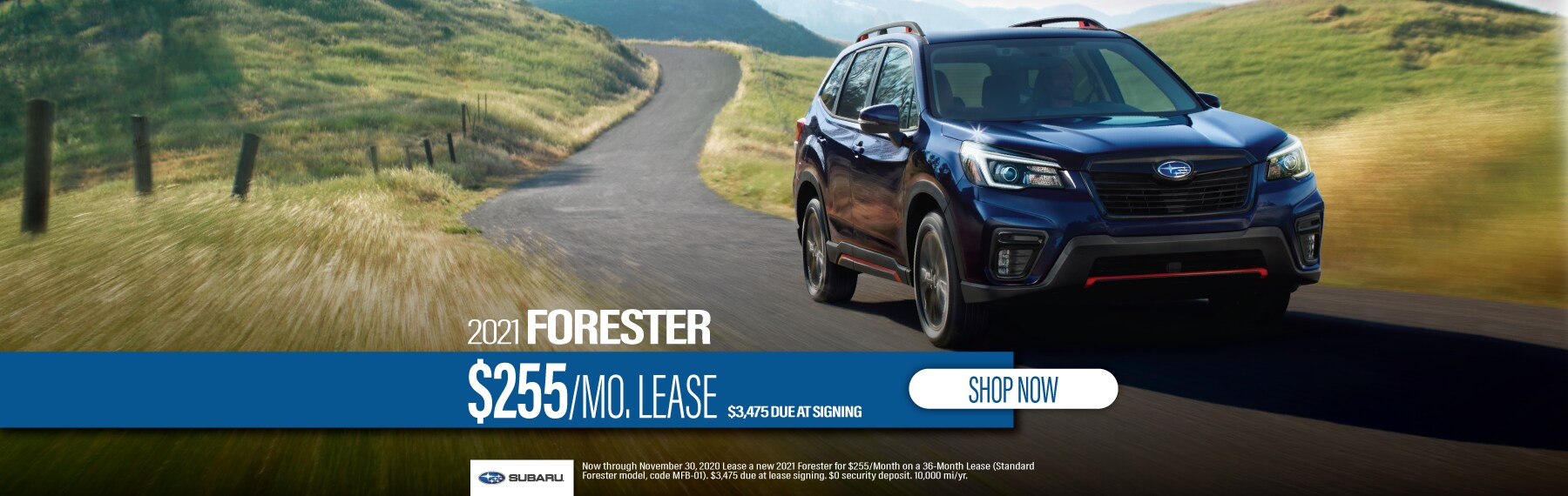 LMSUB-11202-Web Slides_Forester.png