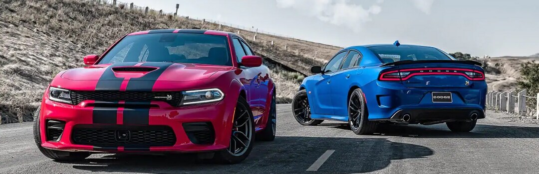 2021 Dodge Chargers