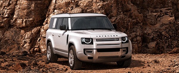 2025 DEFENDER 130 S P300