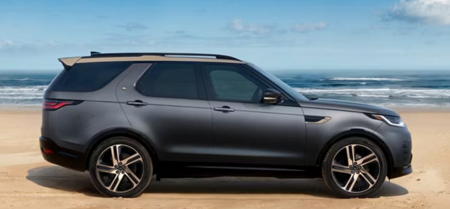 2025 Discovery on a beach 2025 Discovery on a beach