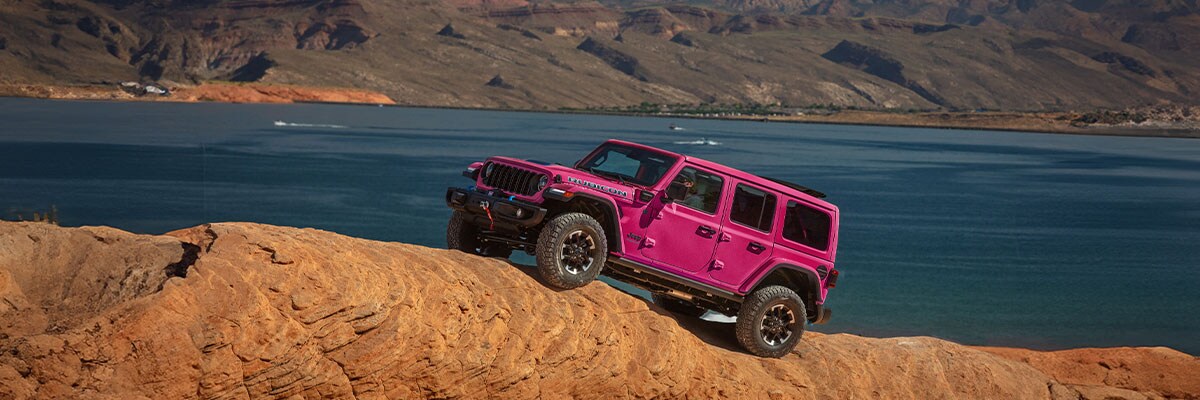 Look for the Jeep Wrangler in Larchmont, NY.