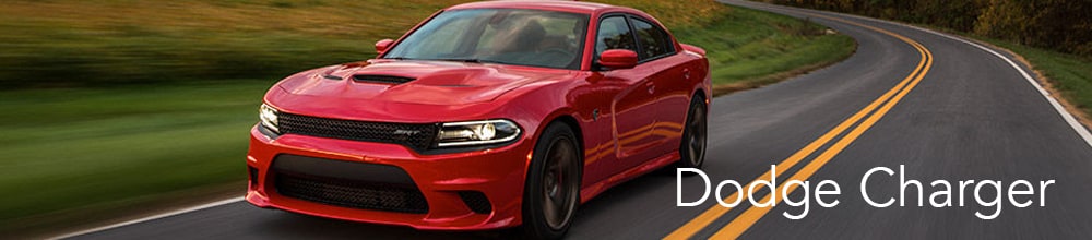 2016 Dodge Charger 2016 Dodge Charger