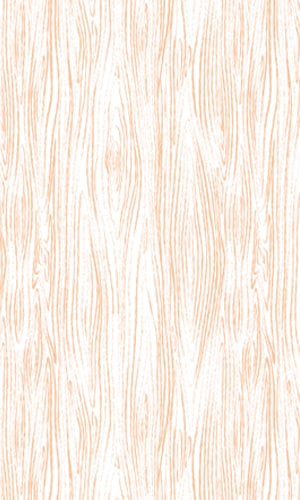 DCJ-EOP-Background-1.png
