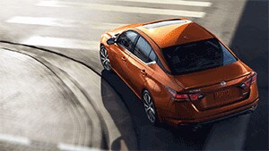 Altima9.png