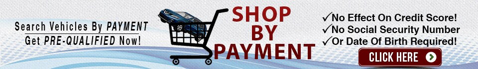 DMF-Shop-By-Payment.jpg