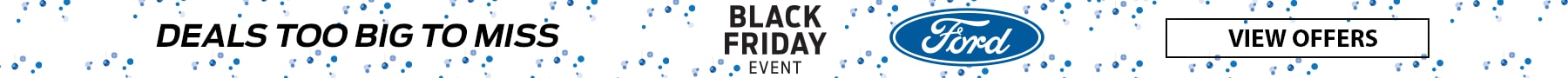 Black Friday Banner SFL.png