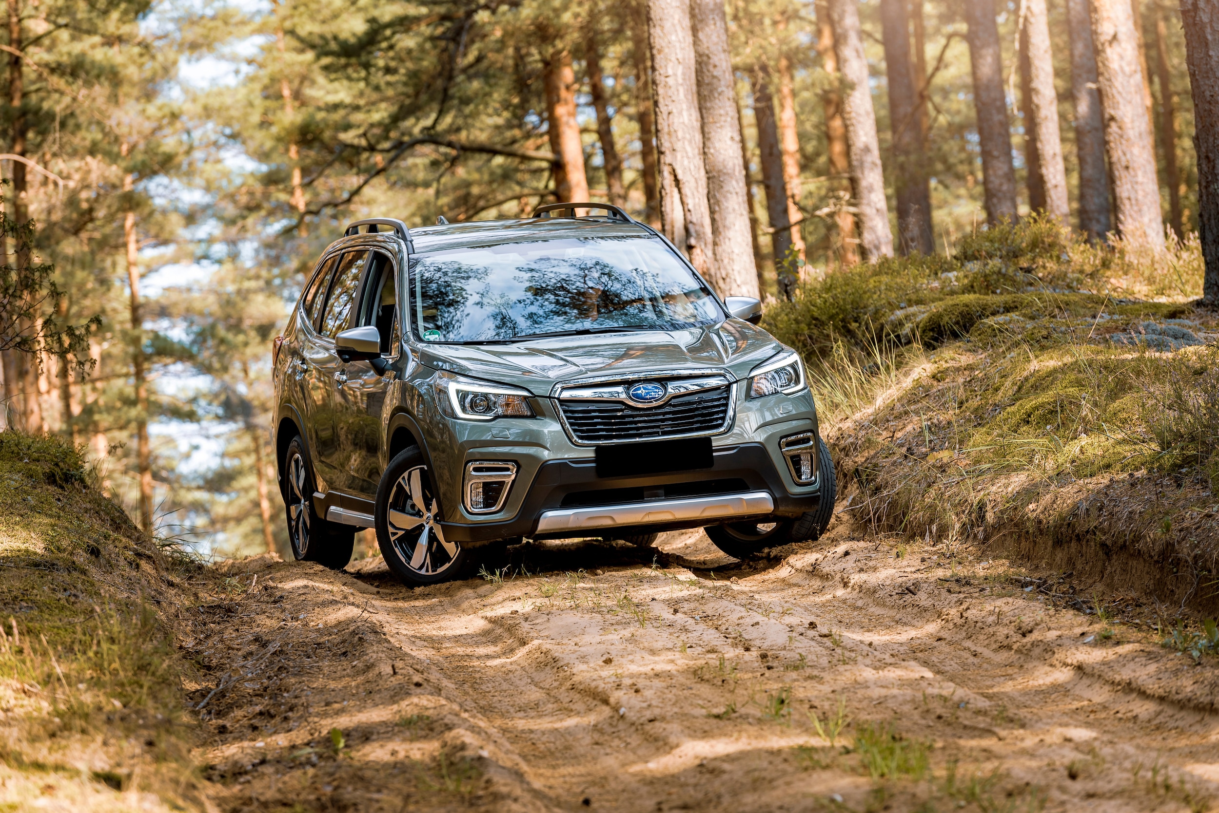 2024 Subaru Forester Off-Road