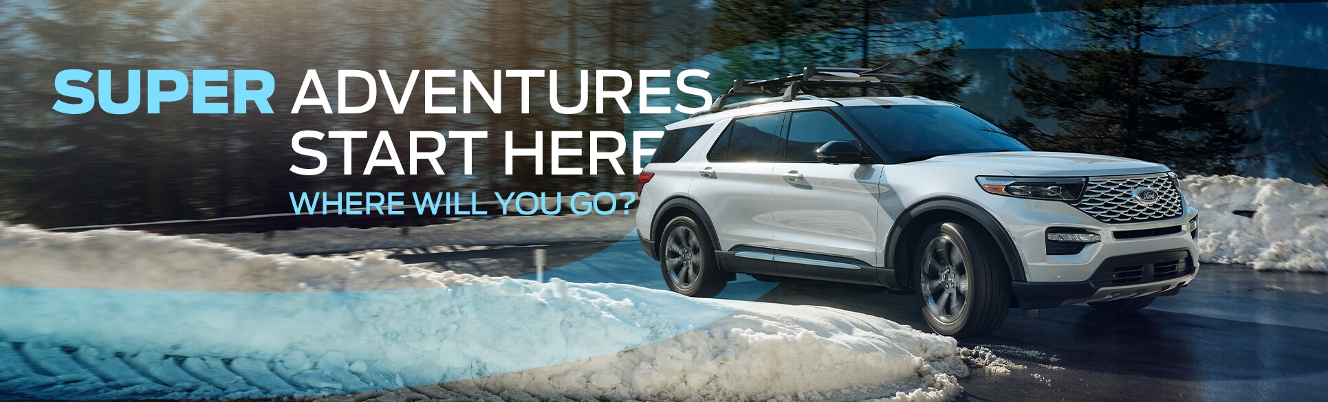 Where Will You Go?