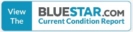 Bluestar Logo.jpg