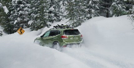 Subaru Forester Subaru Forester driving in deep snow