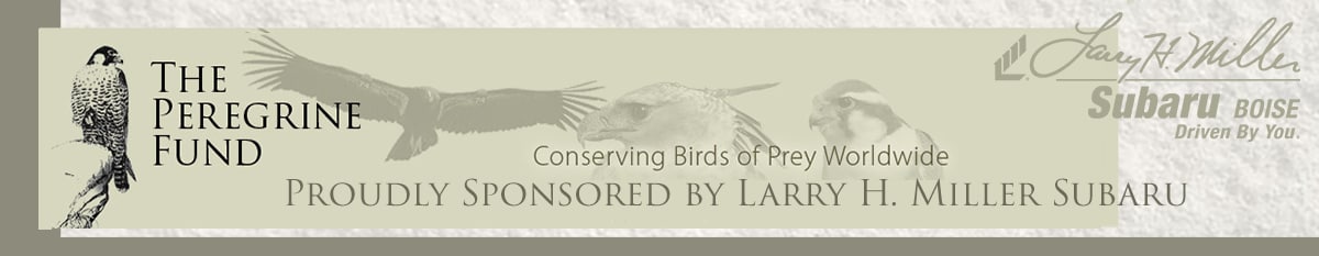 Peregrine-Fund-World-Center-for-Birds-of-Prey1.png