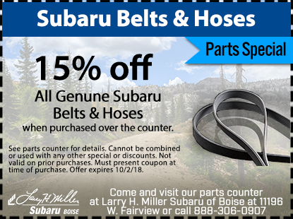 18_9-Belt-and-Hoses.png