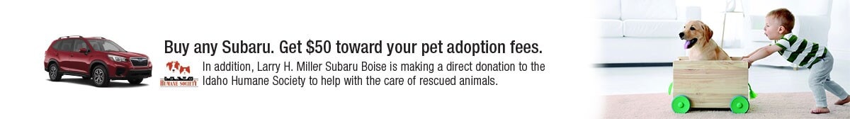 Adopt-a-Subaru-Boise.jpg