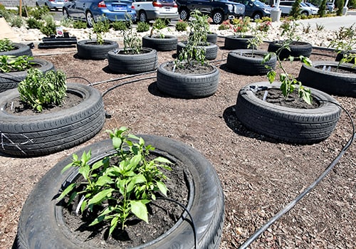 New-Community-Garden.png