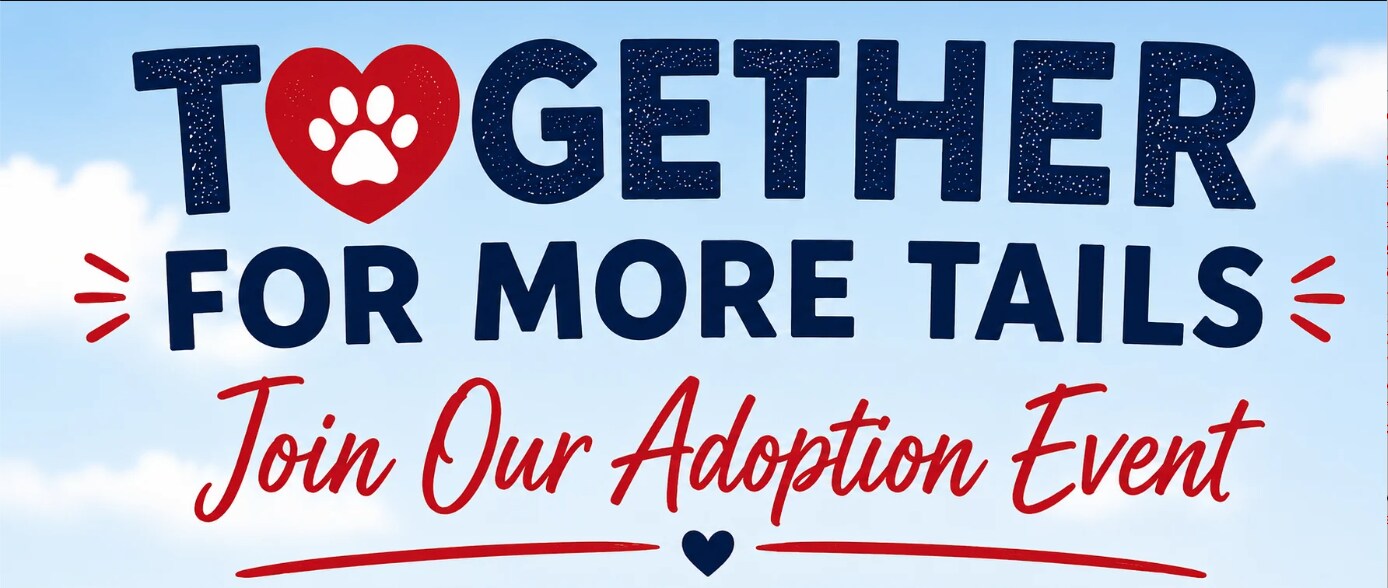 Adoption Event