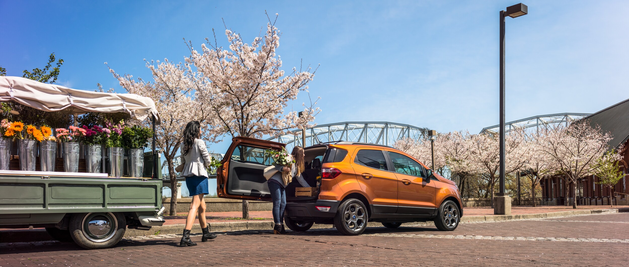 ford lifestyle another one.jpg