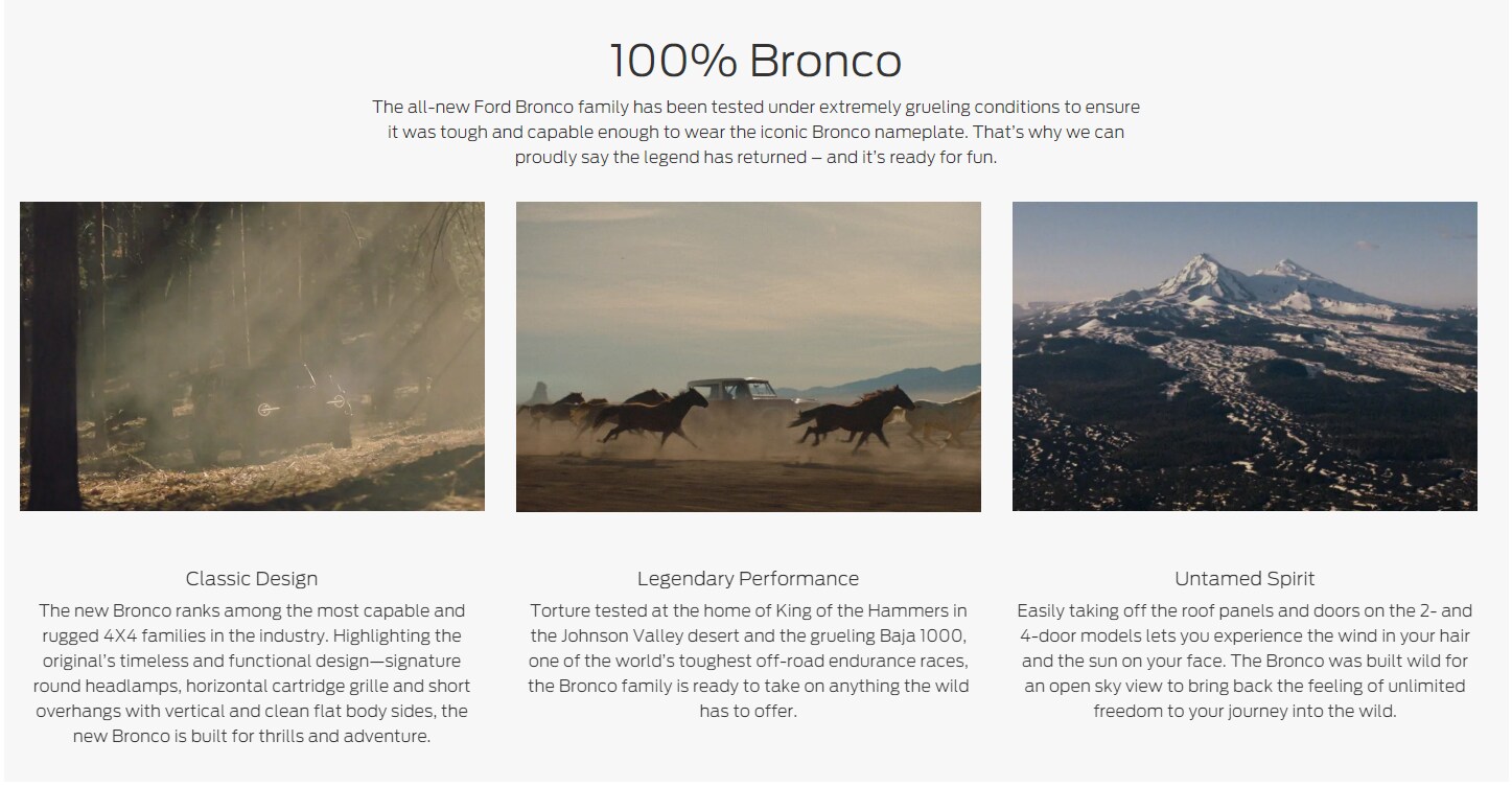 Bronco 3.PNG