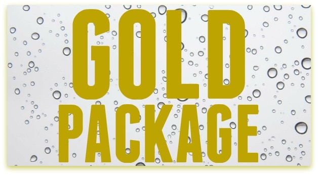 GOLD PACKAGE HEADER.jpg car detailing pricing, Cobourg, ON
