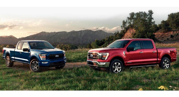 Schedule A Test Drive Schedule A Test Drive - Ed Murdock Ford - Lavonia, GA