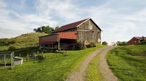 farm1.jpeg