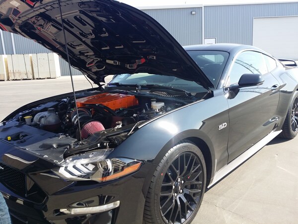 LFP_800_Mustang4.jpg