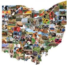 ohio_pic.jpeg