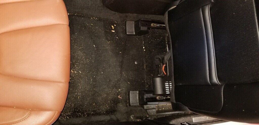 Dirty - Passenger Rear Floor.jpg