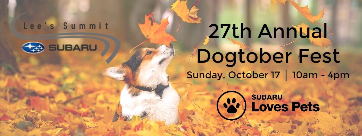 Dogtober Fest Website (1).jpg