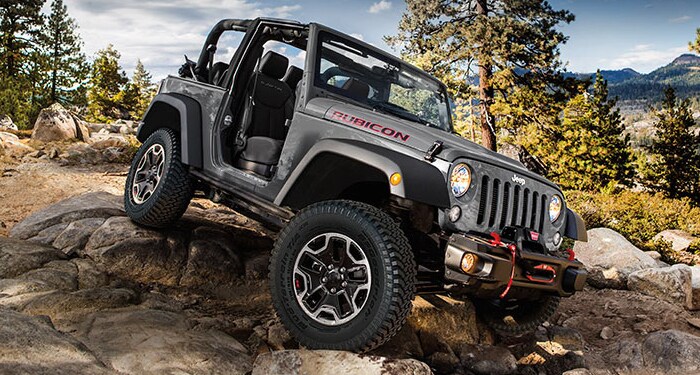 Jeep raleigh #5