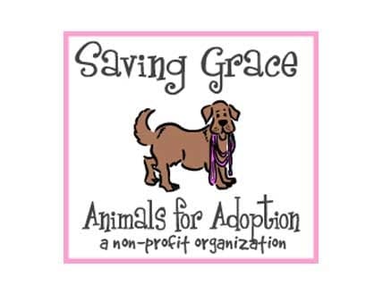 Saving Grace Animals for Adoption