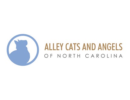 Alley Cats and Angels