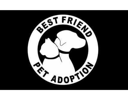 Best Friend Pet Adoption