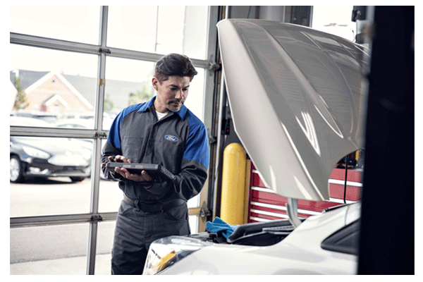 172-Point Inspection