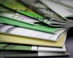 Catalogs & Brochures