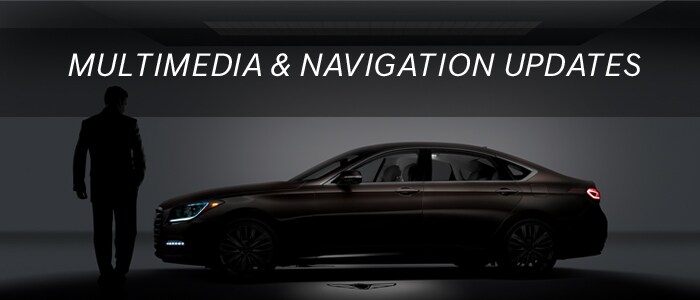 Lester Glenn Genesis Multimedia & Navigation