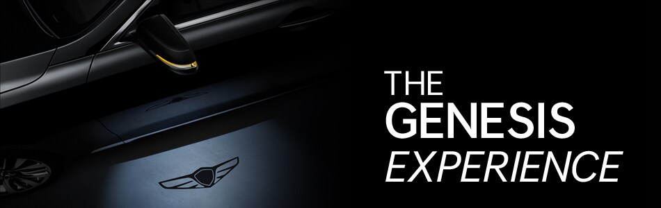 The Genesis Experience at Lester Glenn Genesis in Toms River NJ