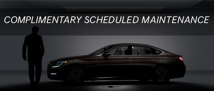 Lester Glenn Genesis Complimentary Scheduled Maintenance