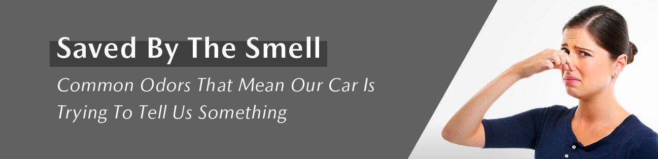 Saved By The Smell - Common Odors That Mean Our Car Is Trying To Tell Us Something