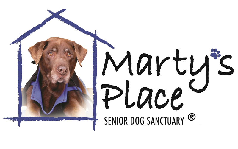Marty's Place - Senior Dog Sanctuary