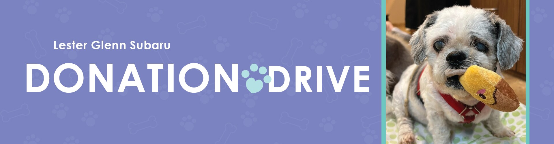 Lester Glenn Subaru July Donation Drive