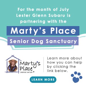 Lester Glenn Subaru July Donation Drive for Marty's Place Senior Dog Sanctuary