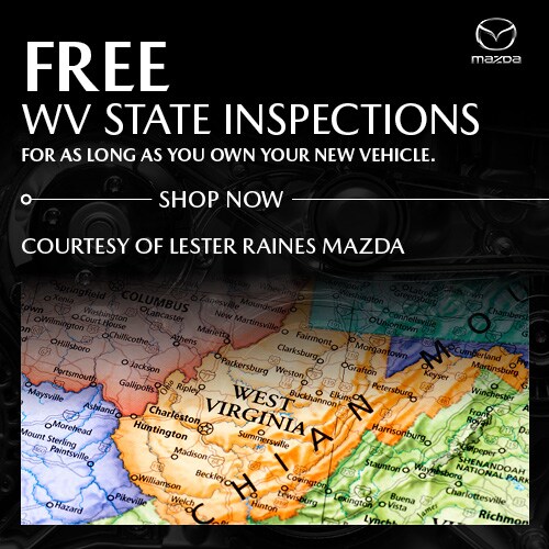 Free VW State inspections