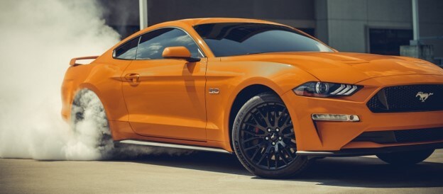 Mustang-Picture5.jpg